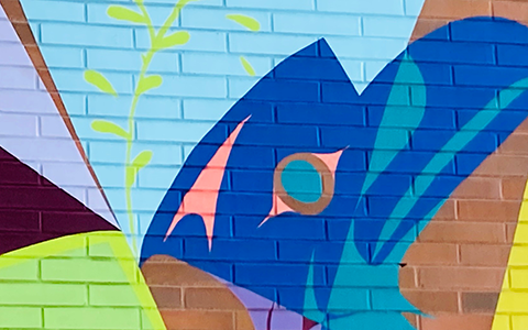 A cropped image of the Douglas College indigenous art mural showing only the raven holding a book against a colourful background